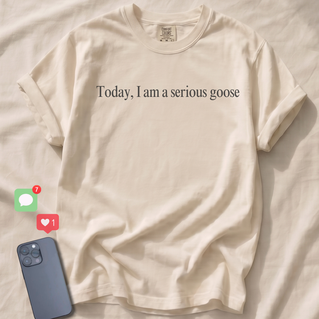 Today, I am a serious goose T-Shirt